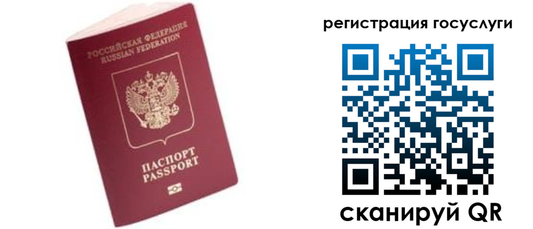 прописка поиск в Венёве